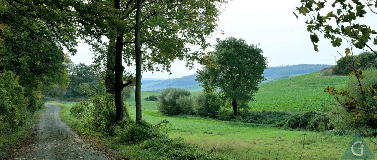 Wir laden Sie ein zum Spaziergang im Weserbergland