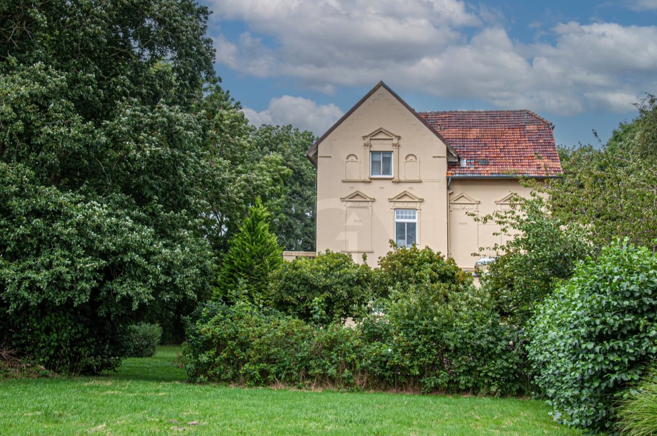 verträumter Blick aus dem Garten