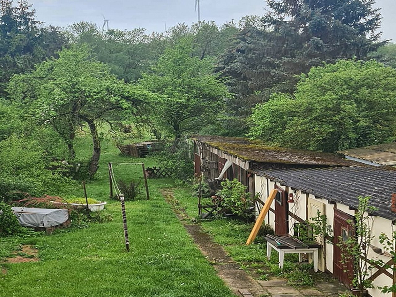 großer, ursprünglicher Garten